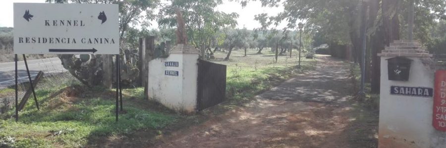 WhatsApp Image 2026-02-17 at 09.17.27